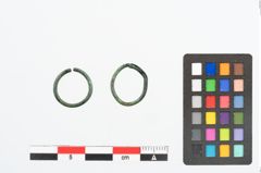 Foto von Bronzering (NHMW-PRAE-025782)